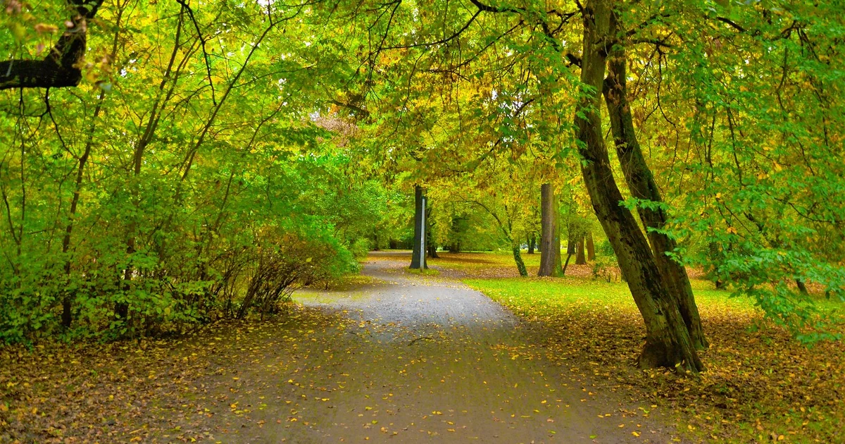 Foto: Leipzig im Herbst in Leipzig