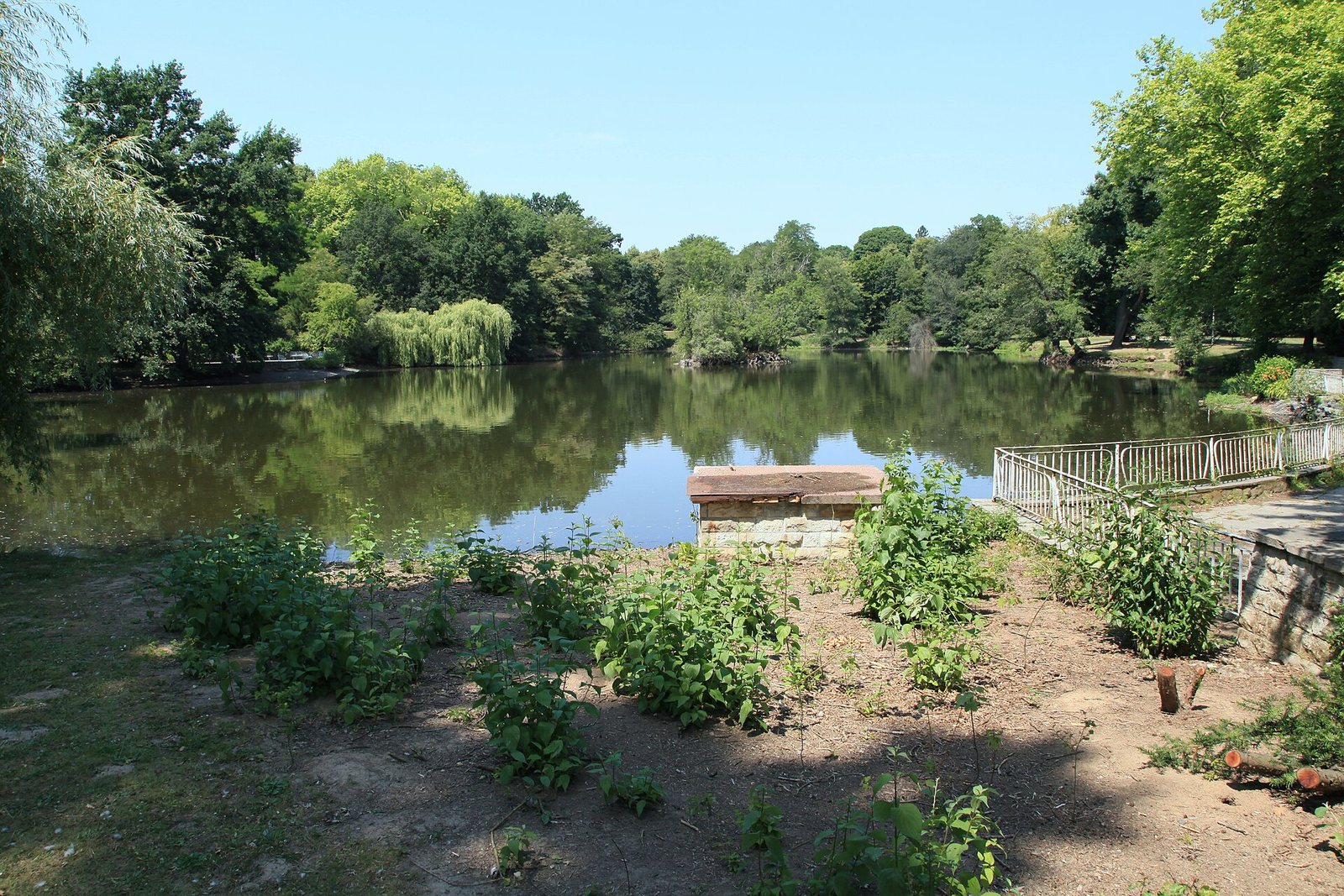 Clara-Zetkin-Park in Leipzig