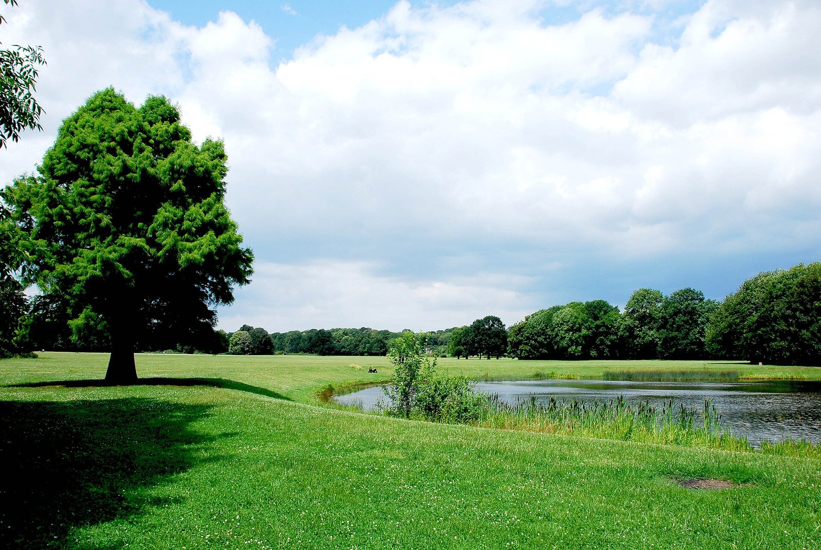 Rosental in Leipzig