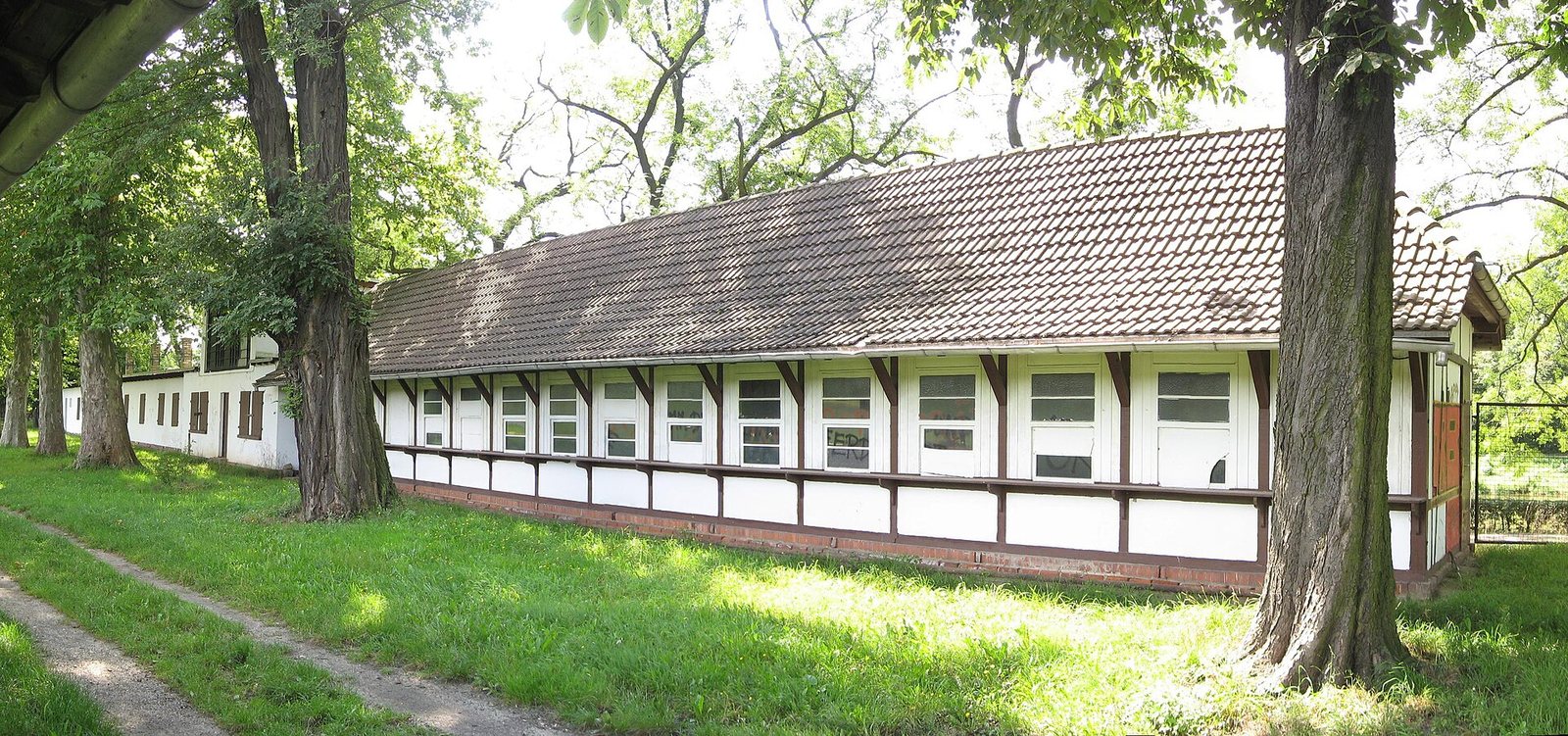Scheibenholz Rennbahn en Leipzig