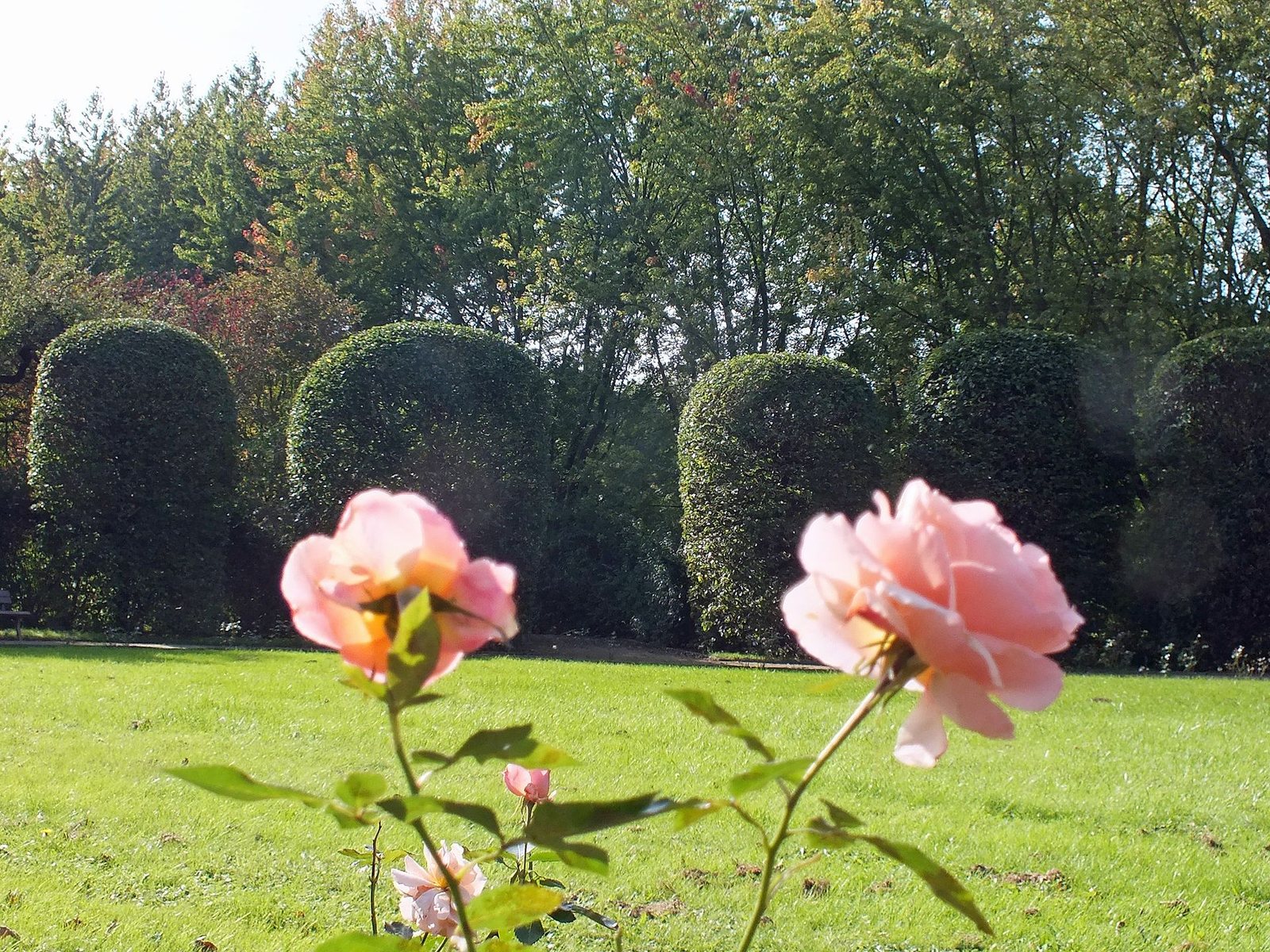 Volkspark Kleinzschocher a Lipsia