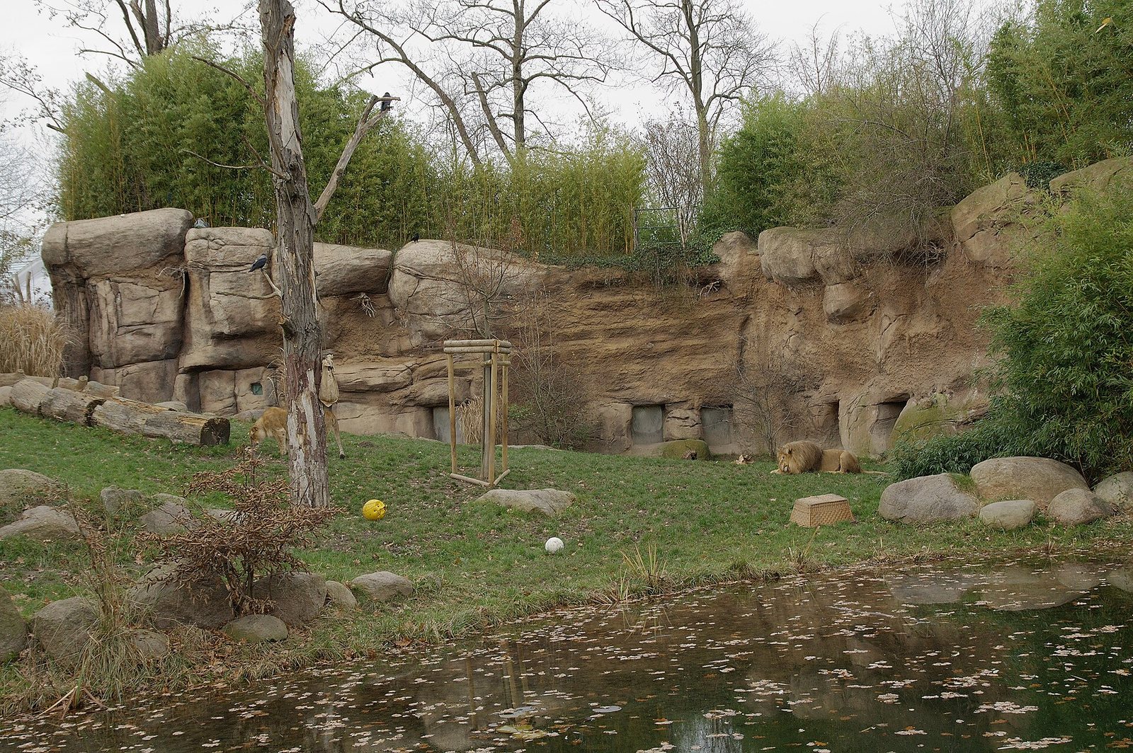 Zoo Leipzig in Leipzig